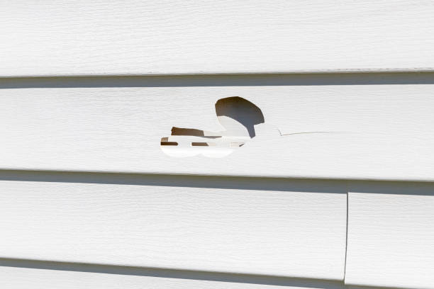 Best Storm Damage Siding Repair  in Hazel Green, AL