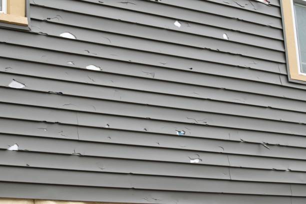 Best Stucco Siding  in Hazel Green, AL