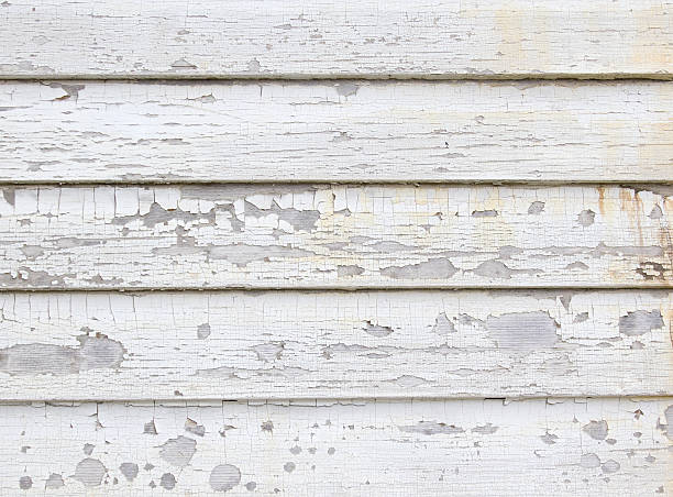 Best James Hardie Siding  in Hazel Green, AL