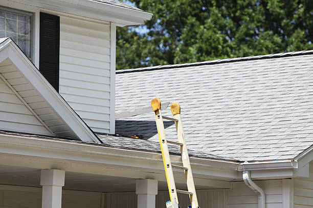 Best Fiber Cement Siding Installation  in Hazel Green, AL