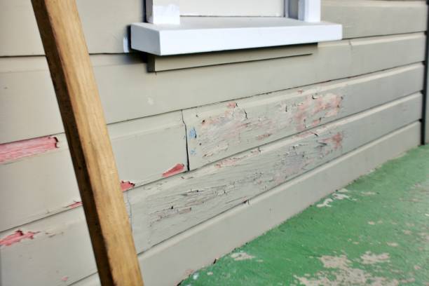 Best Siding Painting and Refinishing  in Hazel Green, AL